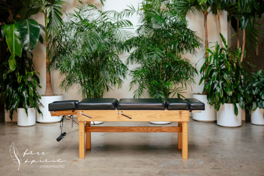 300 Stationary in Clinic with Plants