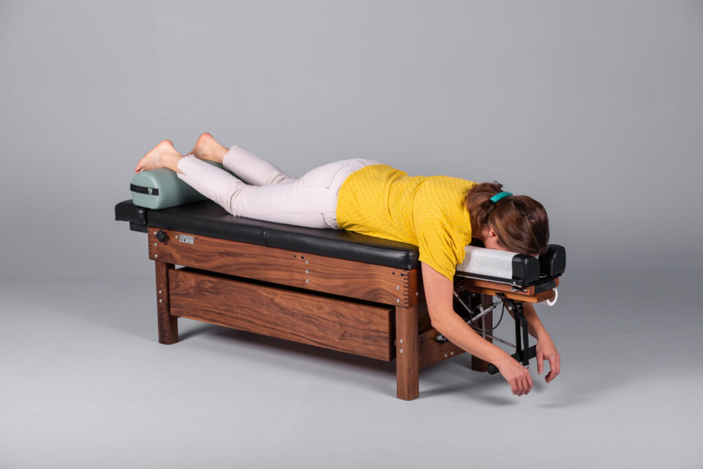 Shelf and Drawer Storage | Chiropractic Accessories | Thuli Tables Shelf and Drawer Storage | Chiropractic Accessories | Thuli Tables